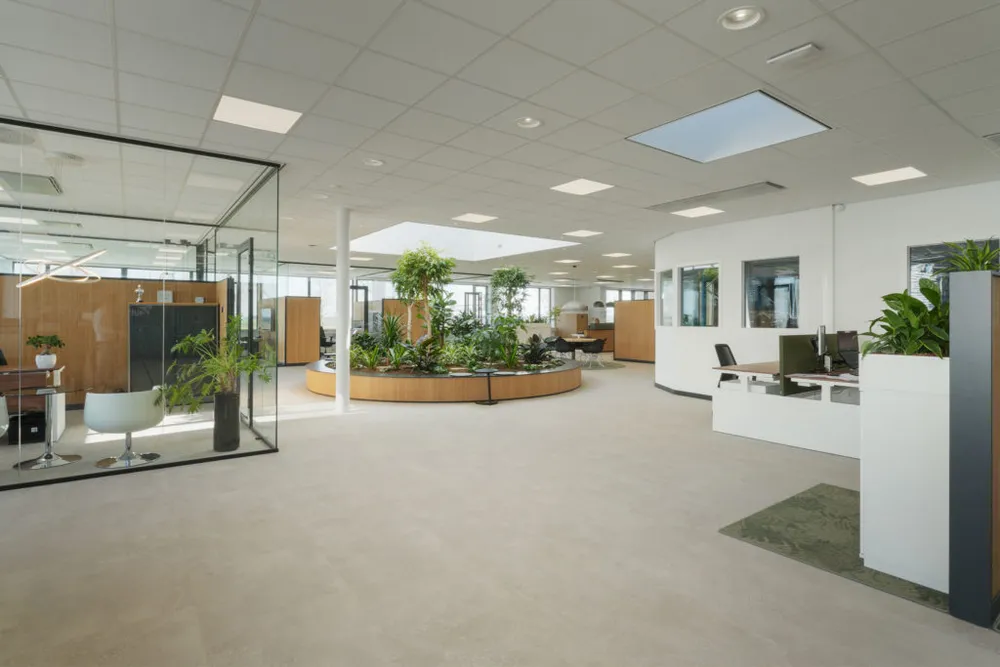 PROJECT-BEELD-Auerhaan7-1024×683